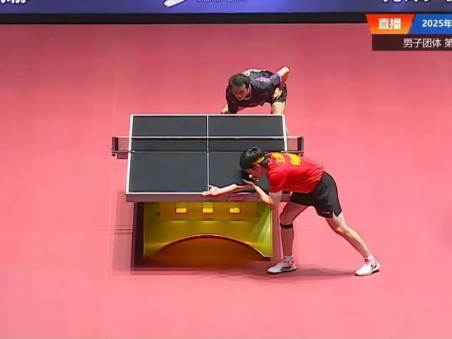 钦的暖心互