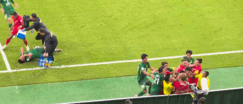 几个新队员, com